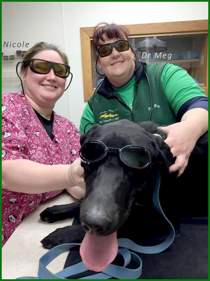 picture of medical staff and a black lab all with sunglasses on