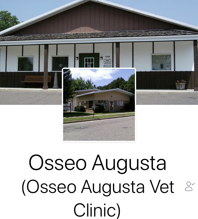 Osseo Augusta Veterinary Clinic Large or Small We See Them All